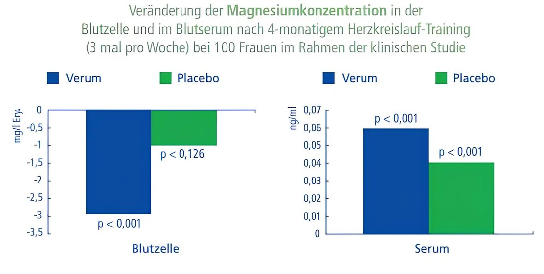 Bar charts: cellular magnesium concentrations fall in both groups, while serum concentrations rise